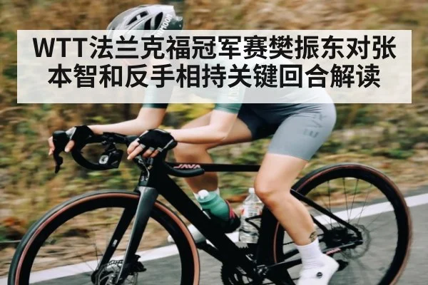 WTT法兰克福冠军赛樊振东对张本智和反手相持关键回合解读