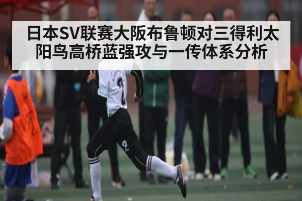 日本SV联赛大阪布鲁顿对三得利太阳鸟高桥蓝强攻与一传体系分析